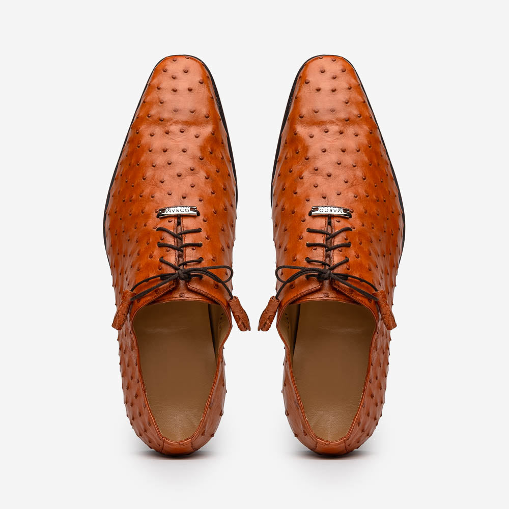 Criss Brandy
