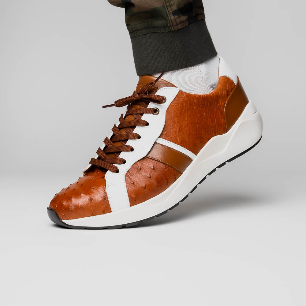 Lyon II Brandy / White