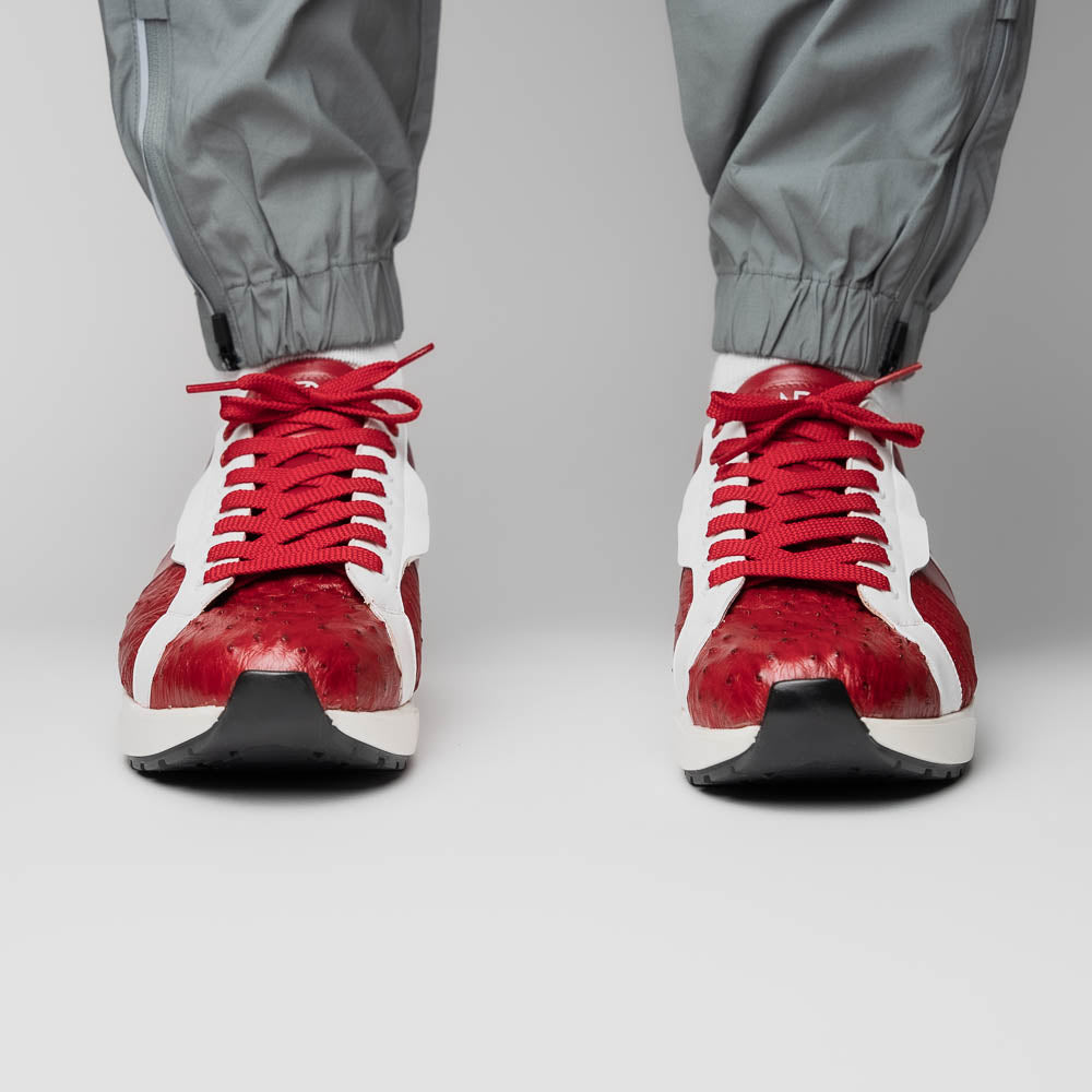 Lyon II Red / White