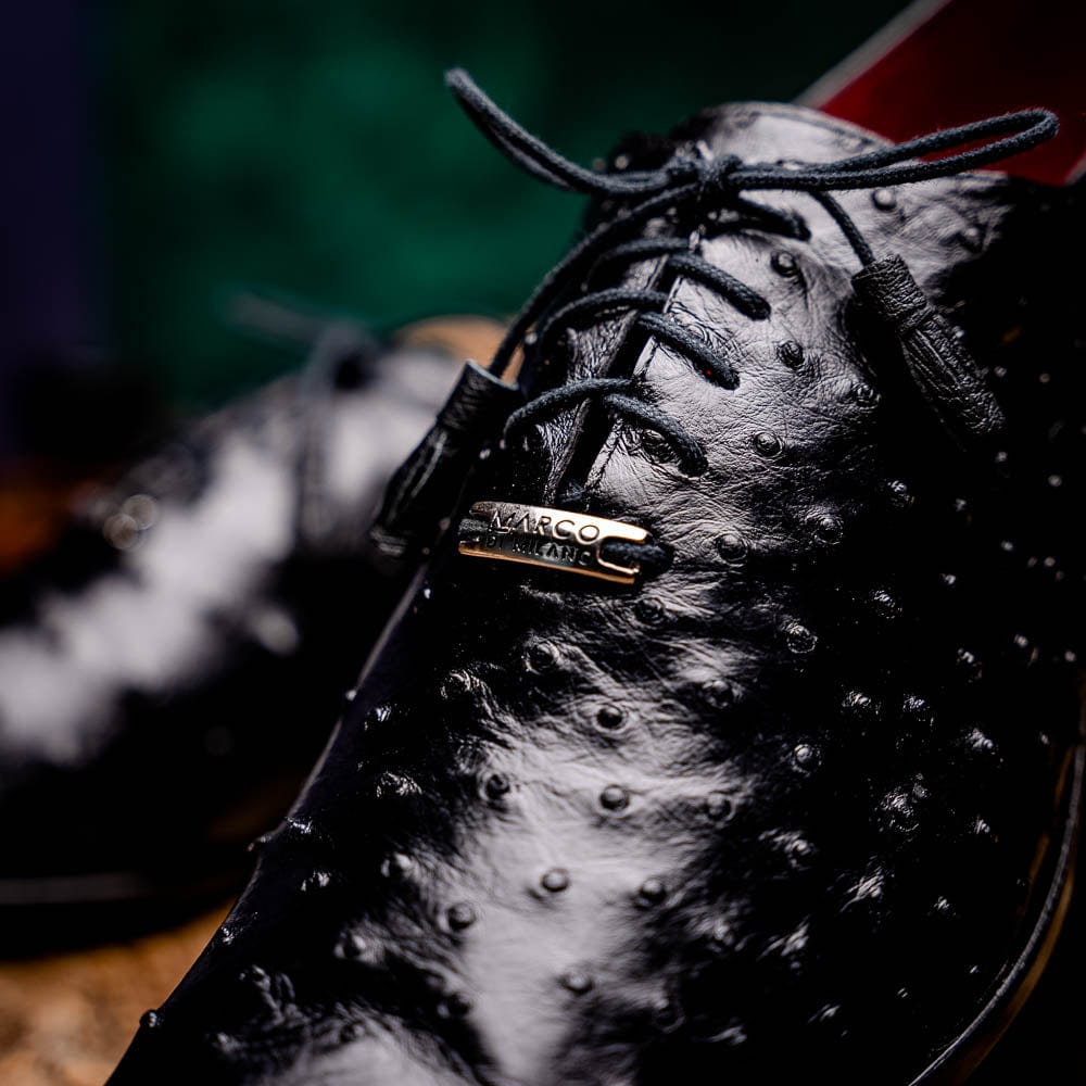 Marco Di Milano FT Criss Black
