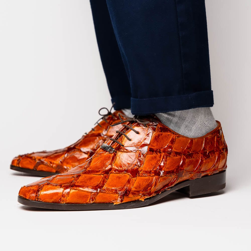 Marco Di Milano FT Olivieri Cognac