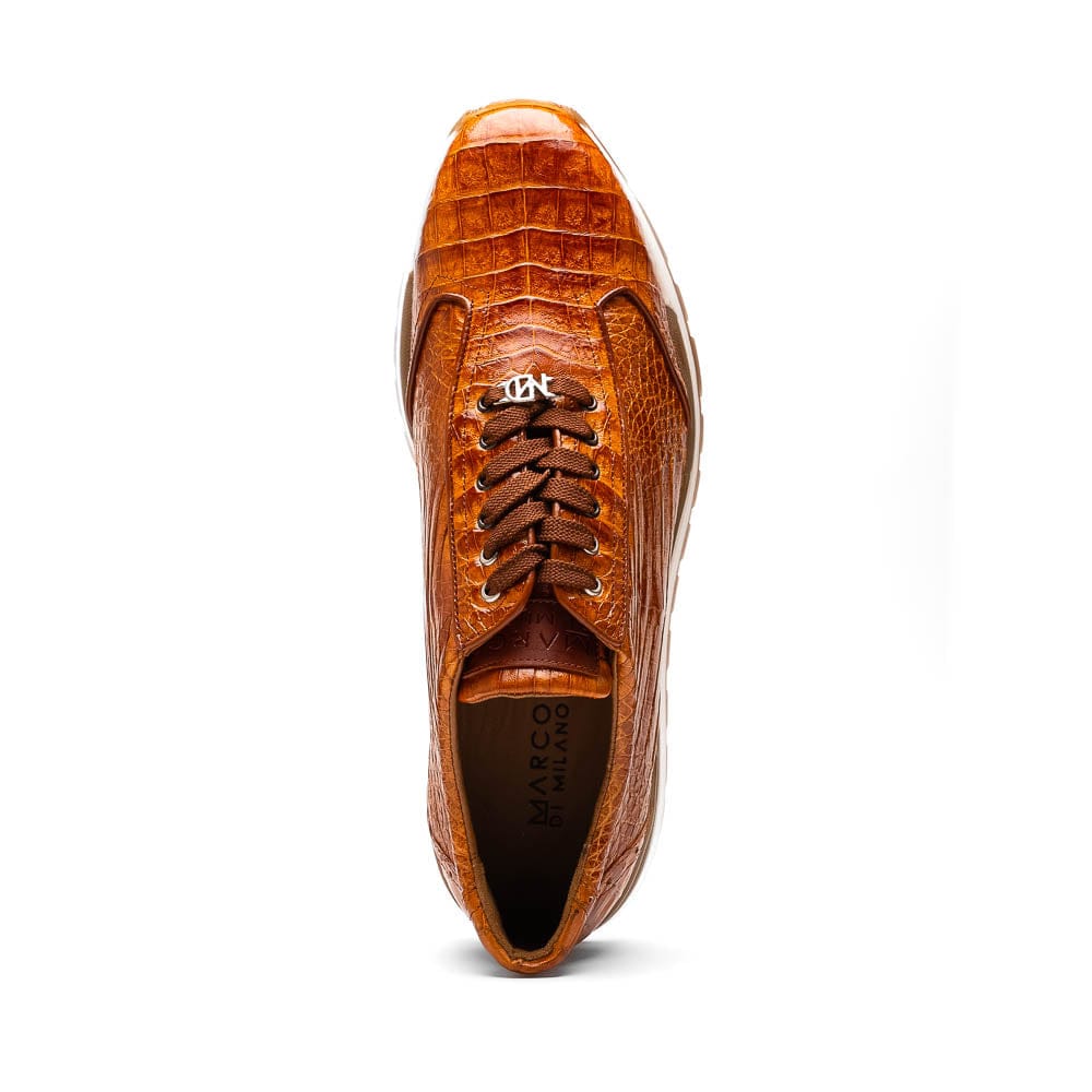 Marco Di Milano FTC Alonzo Cognac