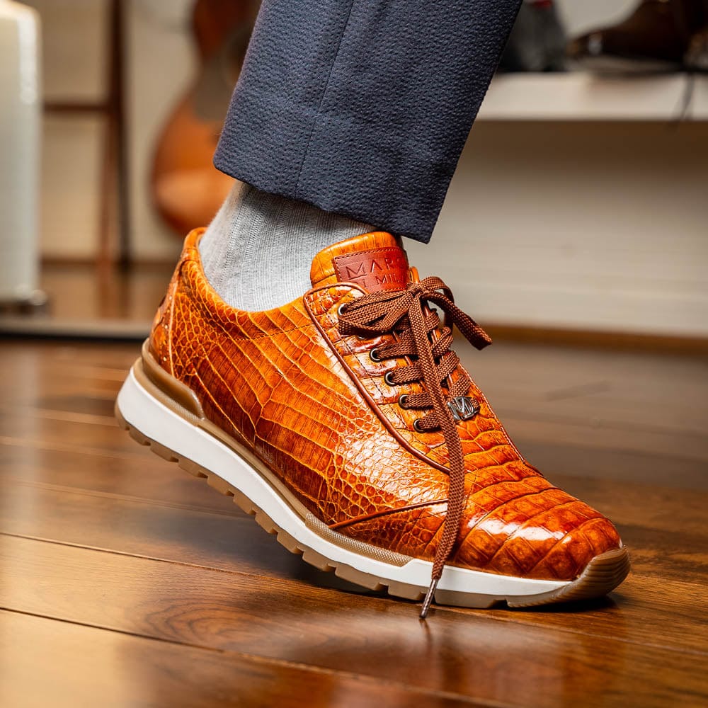 Marco Di Milano FTC Alonzo Cognac