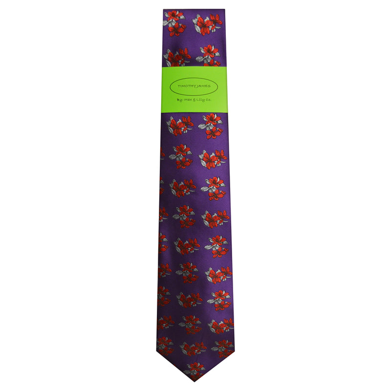 TIMOTHY JAMES TIE/HANKEY SET