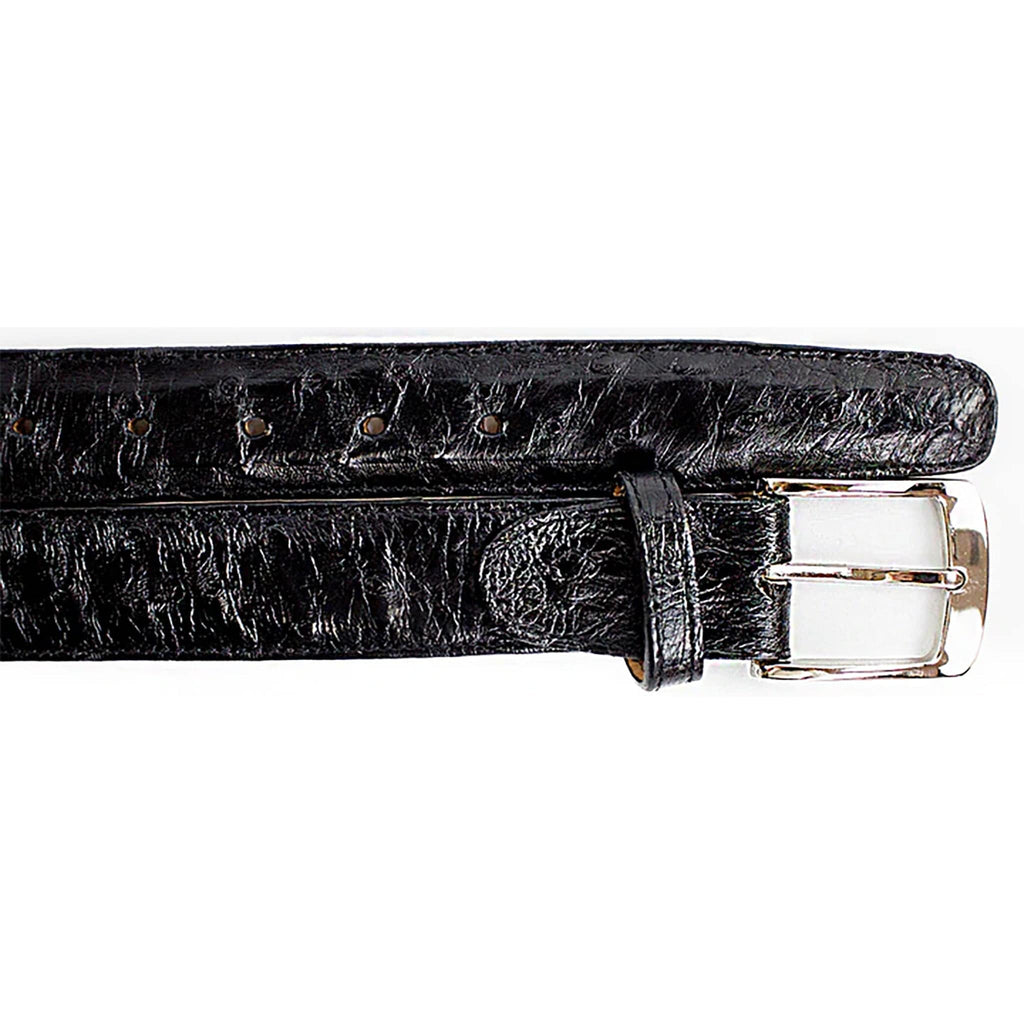 BELVEDERE Belts BLACK / 44 Belvedere-Ostrich Quill Belt