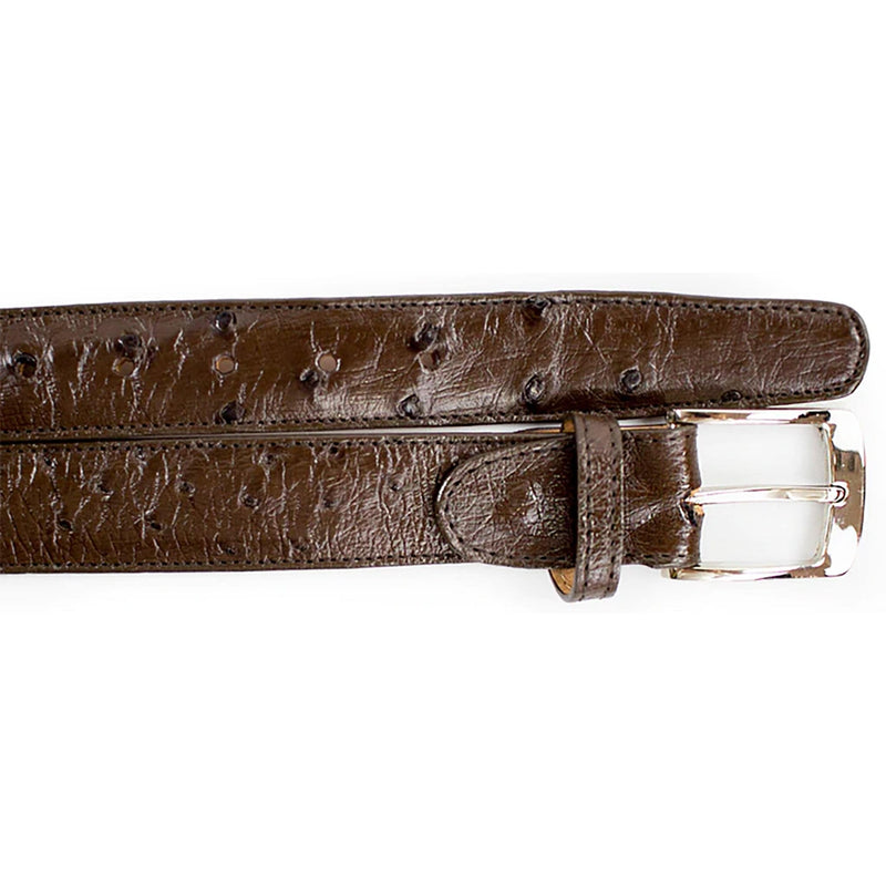 BELVEDERE Belts BROWN / 44 Belvedere-Ostrich Quill Belt