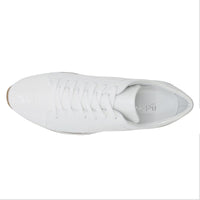 BELVEDERE F TC BLAKE TENNIS SHOES BY BELVEDERE/33629