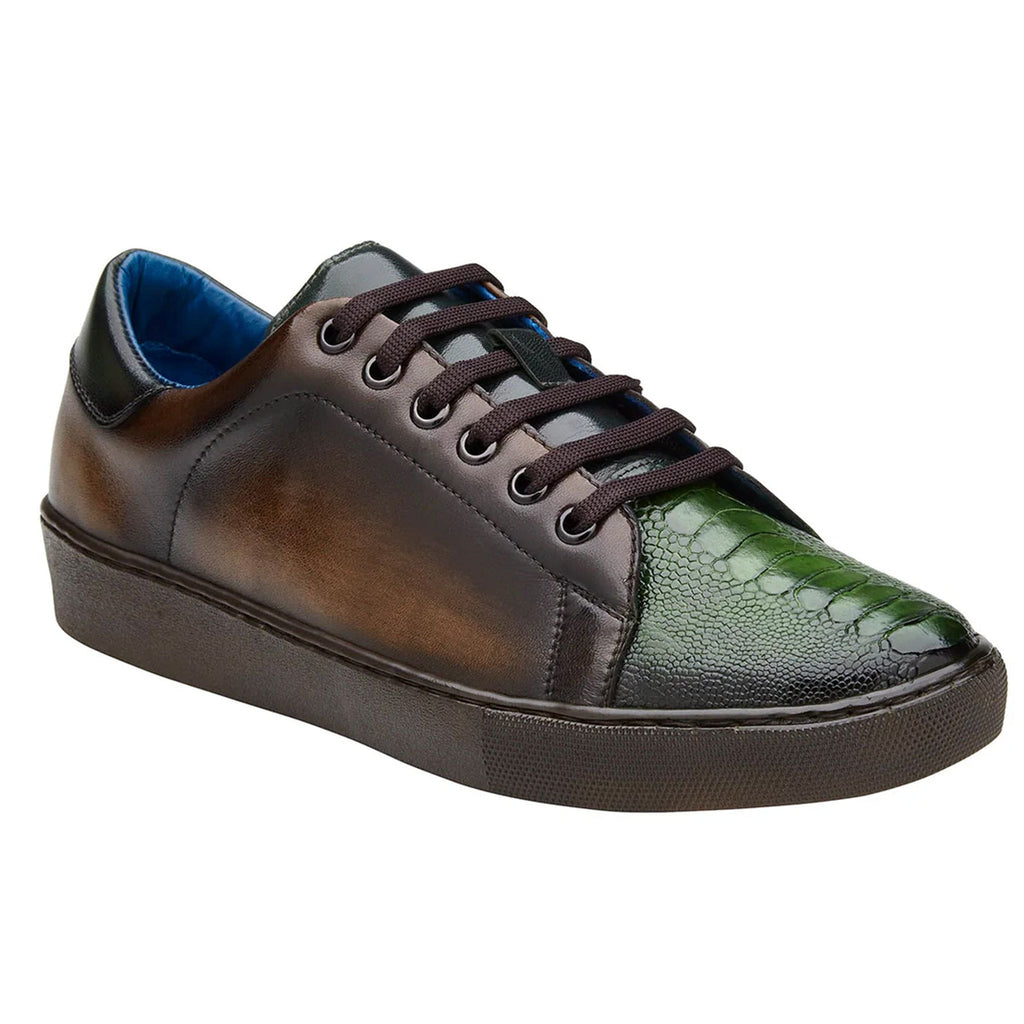 Belvedere Shoes FT CHOCOLATE/FOREST / 9 Belvedere Shose-Stone