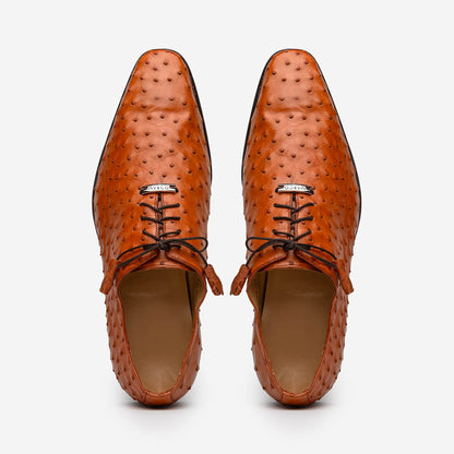Criss  Brandy