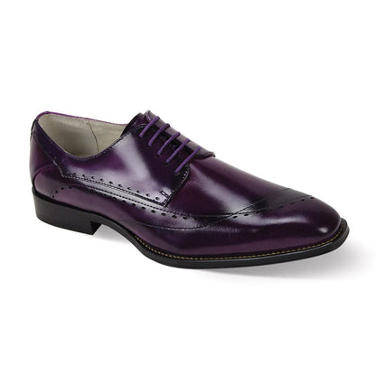 GIOVANNI LEATHER SHOES FT PURPLE / 8 GIOVANNI LEATHER SHOES-TRISTON
