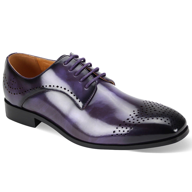 GLOBE FOOTWEAR F T PURPLE / 8.5 ANTONIO CERRELLI /C6873