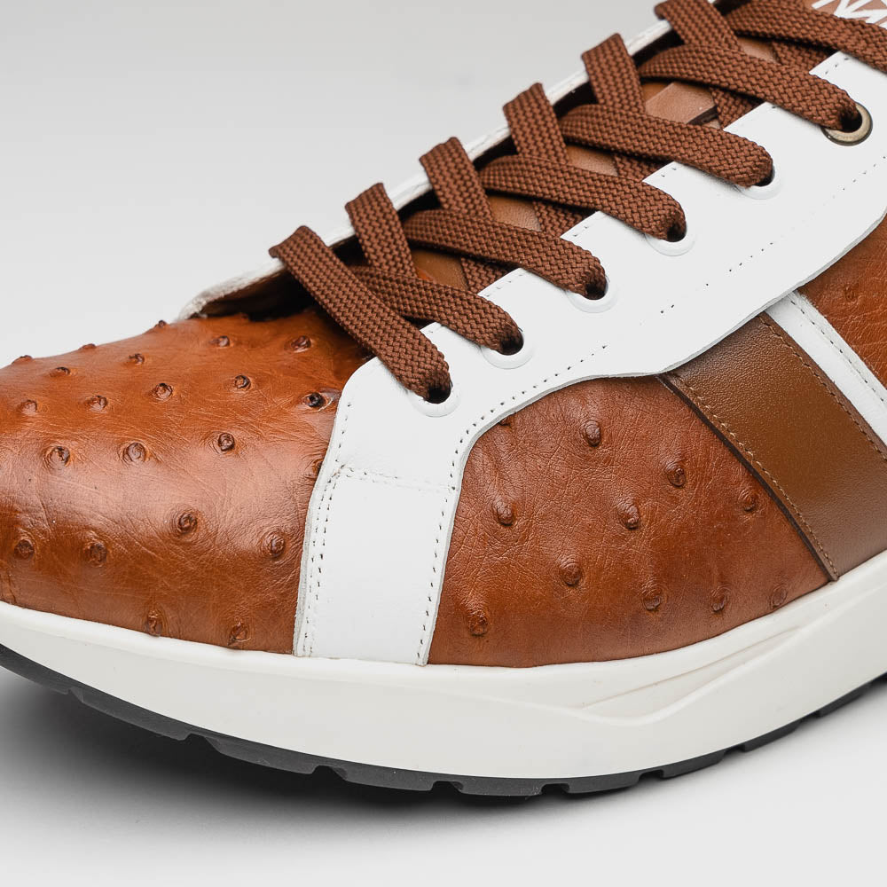 Lyon II Brandy / White