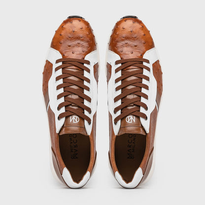 Lyon II Brandy / White