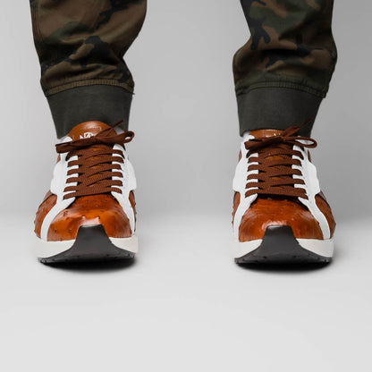 Lyon II Brandy / White
