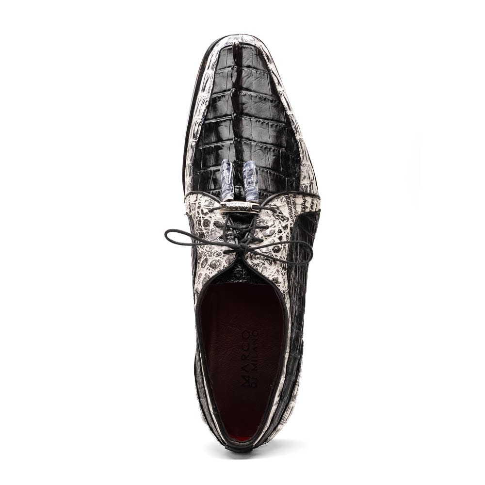 Marco Di Milano FT Caribe Black / Newspaper