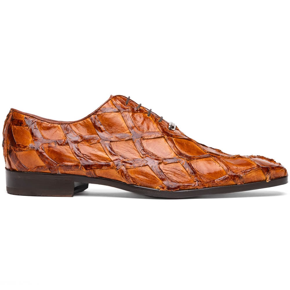 Marco Di Milano FT Olivieri Cognac