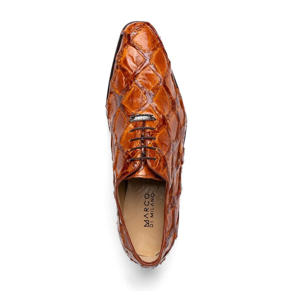 Marco Di Milano FT Olivieri Cognac