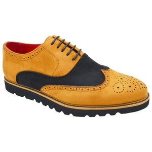 TAYNO DISTRIBUTOR F TC CAM/BLK / 8.0 CASUAL WINGTOP OXFORD/The paragon