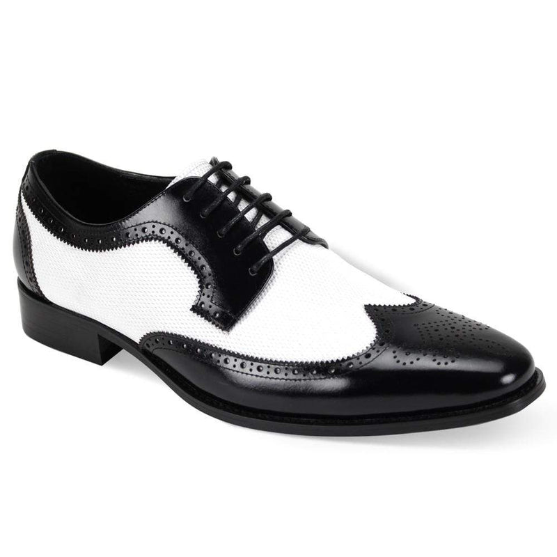 MilanoMensWear FT GIORGIO VENTURI /6881 BLK/WHT