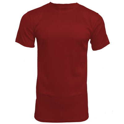 ZANJAN INC DBA BASSIRI T PS RED / MED 218